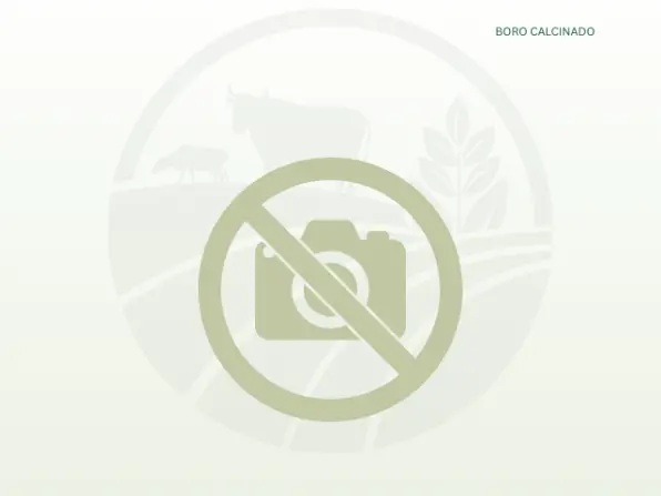 Boro Calcinado